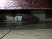 闪光强拍鲍鱼10