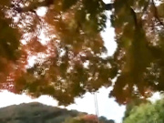 [UHKZ-002] 独身以上人妻未満 結婚前夜 第二夜