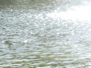 [MISM-192] 最狂ドMお嬢様ハードコアお披露目会 七瀬ひまり【破解】 - 1of5