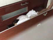 國內廁拍大神潛入某禮儀培訓機構公共女廁偷拍各式美女少婦如廁噓噓 有個高跟美女貌似脫光光了尿尿 1080P高清原版