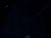 精品推薦 超漂亮的美女和男友一起到朋友家吃飯被故意灌醉後男友讓朋友在客廳沙發上狠狠幹她 自己拍攝!真漂亮可惜了! 720P高清