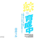 YSN-659 妹を育成中～両親も知らない間に妹を肉オナホに育成した俺は変態ですか？ 尋井うみ - 1of5