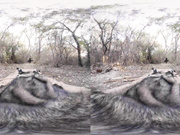 Nurse seducing u to fuck her at the sperm bank