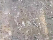 穿解放鞋的乡巴佬男主播带着两个村姑到山上野战白天干到晚上听口音是广西那边的