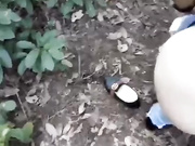 穿解放鞋的乡巴佬男主播带着两个村姑到山上野战白天干到晚上听口音是广西那边的