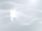 TeensLoveBlackCocks.18.12.31.Sofie.Reyez.Banging.In.The