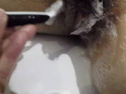 【MJ】170+高挑妹子迷晕拖到卫生间洗澡剃毛，口交玩弄冲洗，拍摄角度完美颜值高，1080P高清