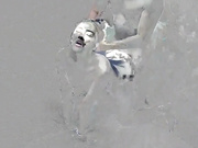 猫先生千人斩之两个 极品魔鬼身材女神 口交后入啪啪720P高清版