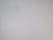 《 横扫全国外围圈 》眼镜大师兄酒店高价约嫖极品白嫩女神 超级温顺 全裸口交啪啪_ev