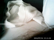 大神约会172CM上门服务年轻羞涩商务女干的啊啊叫给操哭了还说比她对象时间长搞笑淫荡聊天超精彩1080P原版