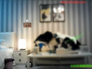 C仔大战长腿名模爱杏美,抱起来干时美女说：好痛啊,放开我这样我会受伤的！操爽后美女还拍了长大鸡巴照片做纪念！