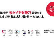 禁止的爱：善良的小姨子（韩国）