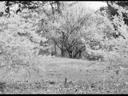 禁止的爱：善良的小姨子（韩国）