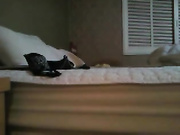 korean-couple-sex-video-562999